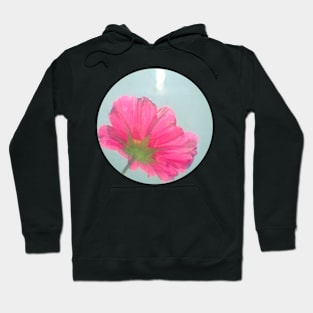 Catching Rays Hoodie